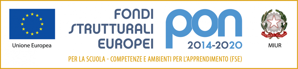 Logo PON 2014/2010